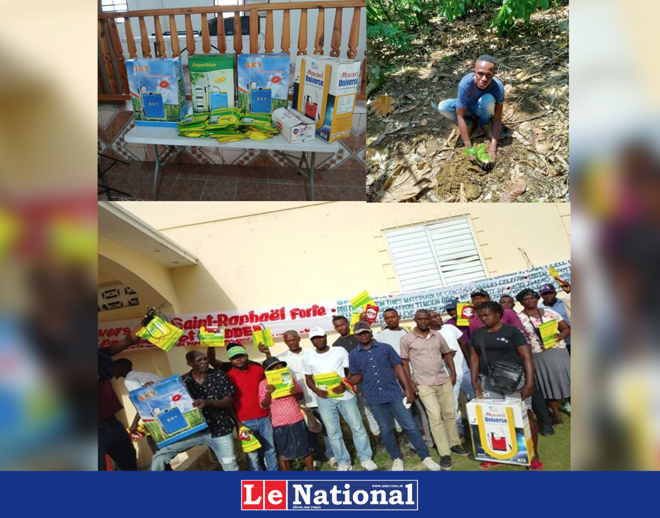 Haïti: soutenir la résilience des communautés agricoles